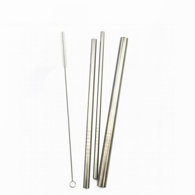 Stainless Steel Straws